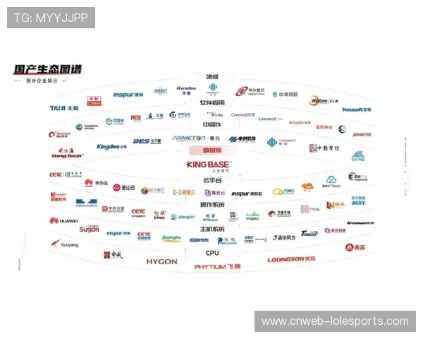 体育数字资产审计流程本月纳入国际体育组织合规要求