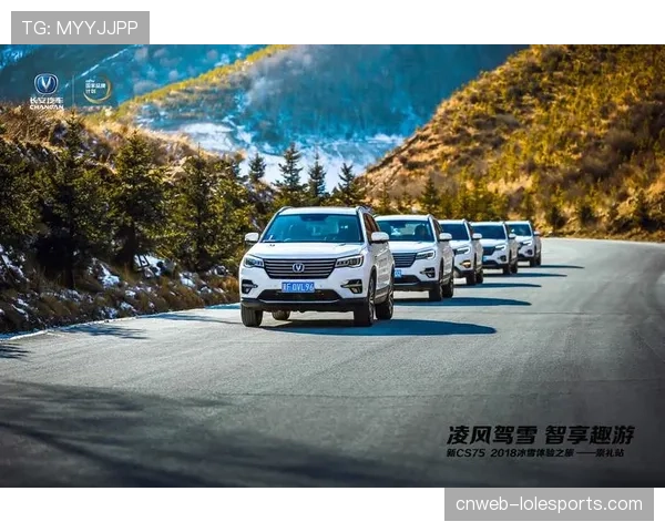 聚焦“新皮尔洛”：弗罗西诺内年轻中场如何用传球主导转换